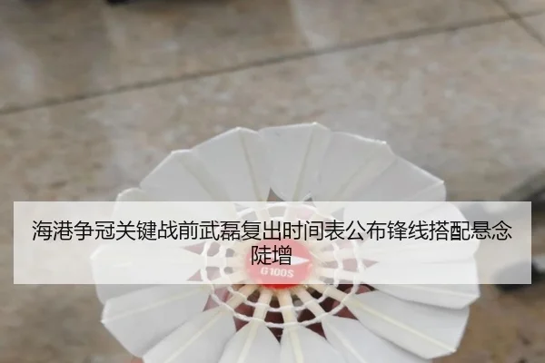 海港争冠关键战前武磊复出时间表公布锋线搭配悬念陡增
