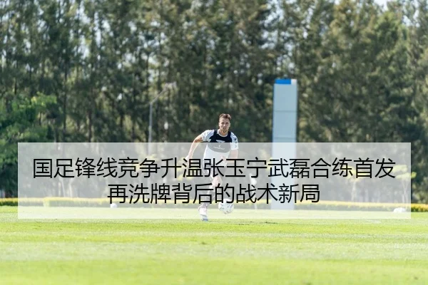 国足锋线竞争升温张玉宁武磊合练首发再洗牌背后的战术新局